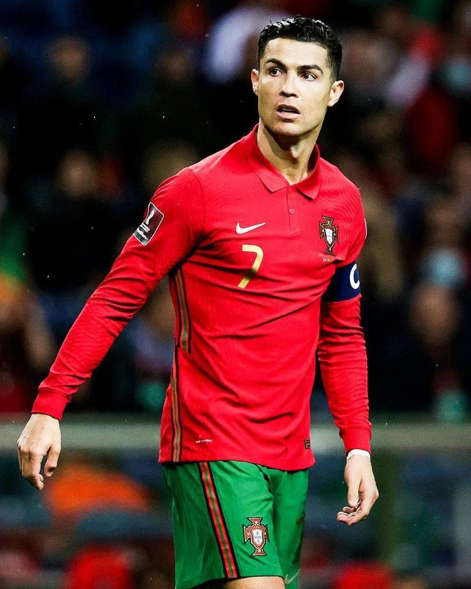 雄鹿也会给 雄鹿也会给